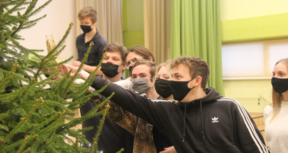 12.klase pušķo egles